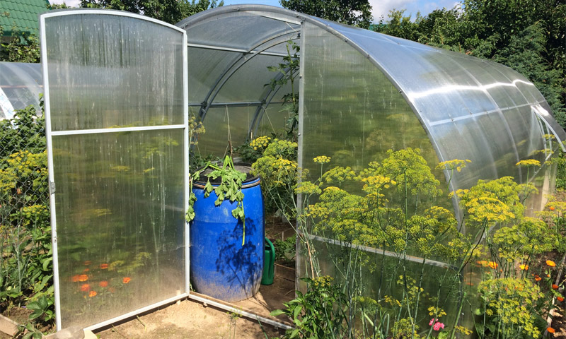 Polycarbonate greenhouses - kung paano pumili ng pinakamahusay na pagpipilian