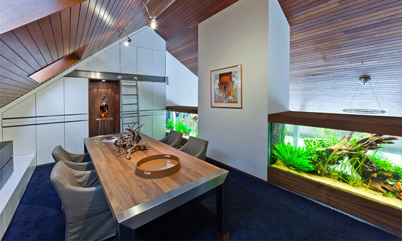 Bể cá trong nội thất - ví dụ thiết kế