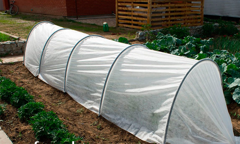 Greenhouse Fazenda - Commentaires des producteurs de légumes sur leur utilisation