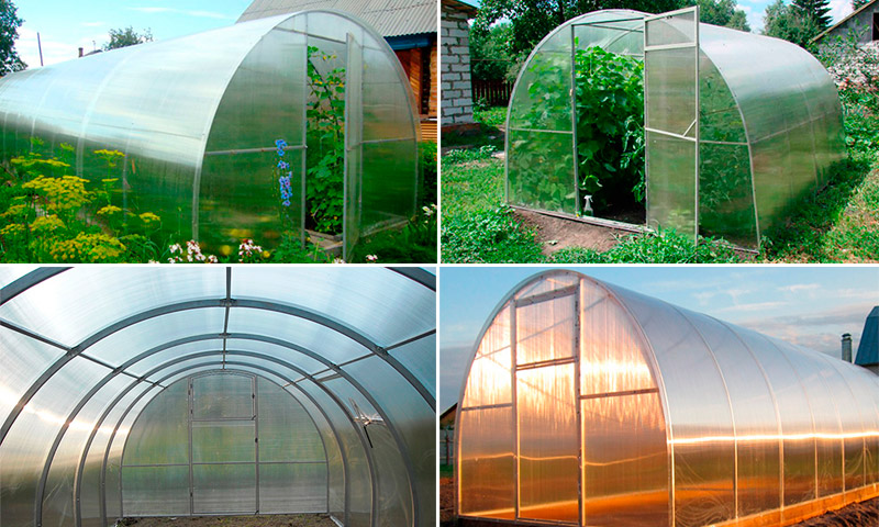 Greenhouses GreenBox - critiques et évaluations des résidents d'été pour leur utilisation