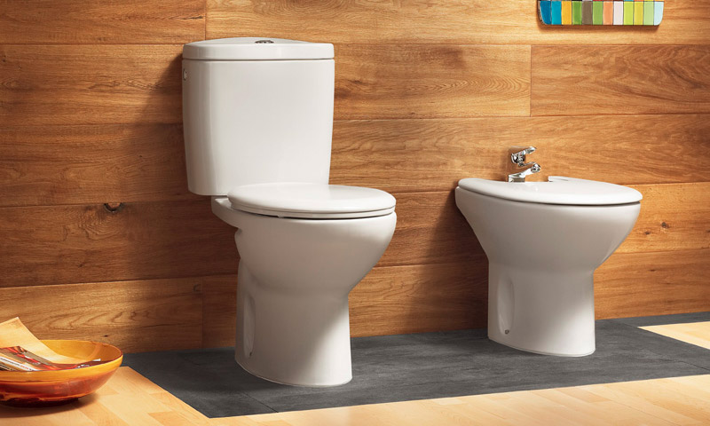 How to choose the right toilet considering all the parameters