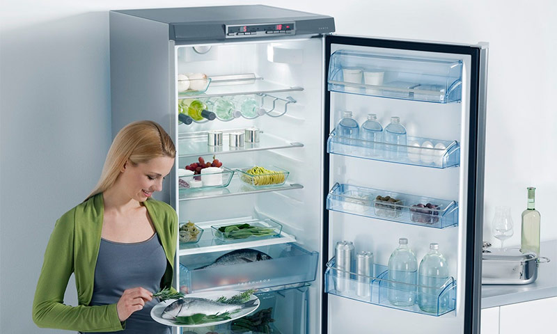 Най-добрите хладилници без замръзване