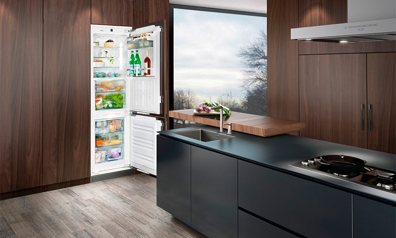 Pinakamahusay na built-in na rating ng refrigerator